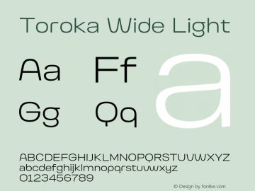 Toroka Wide Light Version 001.000 April 2021图片样张