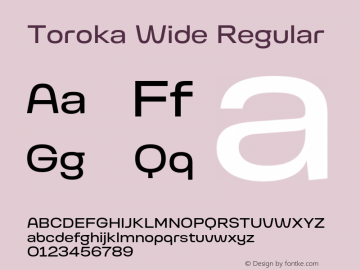 Toroka Wide Regular Version 001.000 April 2021图片样张