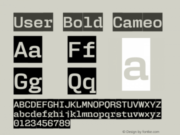 User-BoldCameo Version 1.001;PS 001.001;hotconv 1.0.56;makeotf.lib2.0.21325图片样张