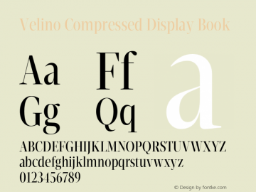 VelinoCompressedDisplay-Book Version 1.000图片样张