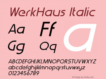 WerkHaus-Italic 1.000图片样张