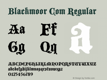Blackmoor Com Version 1.01图片样张