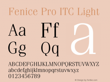 Fenice Pro ITC Light Version 3.00 Build 1000图片样张