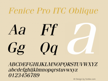 FeniceProITC-Oblique Version 3.000 Build 1000图片样张