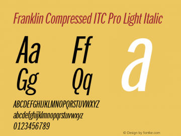 FranklinCompITCPro-LightIta Version 1.01图片样张