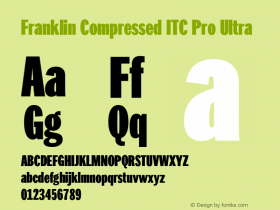 FranklinCompITCPro-Ultra Version 1.01图片样张