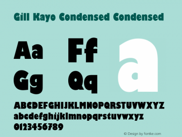 Gill Kayo Condensed Version 2.00; 2006图片样张