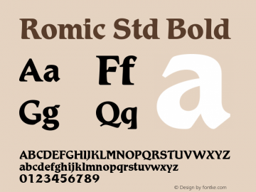 Romic Std Light Bold Version 1.00 Build 1000图片样张