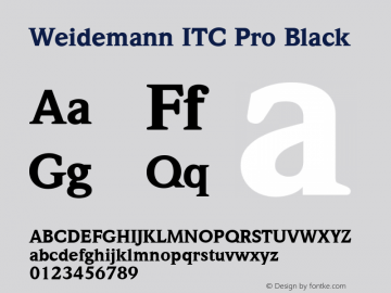 Weidemann ITC Pro Black Version 1.00 Build 1000图片样张