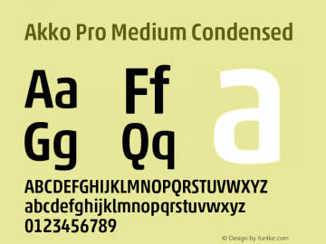 Akko Pro Medium Condensed Version 1.00图片样张