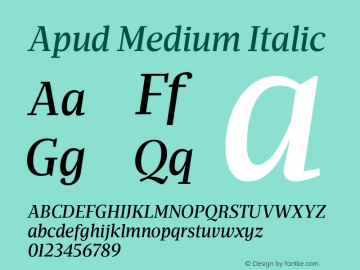 Apud-MediumItalic Version 1.000图片样张