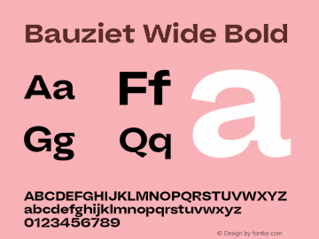 Bauziet Wide Bold Version 1.000;hotconv 1.0.109;makeotfexe 2.5.65596图片样张