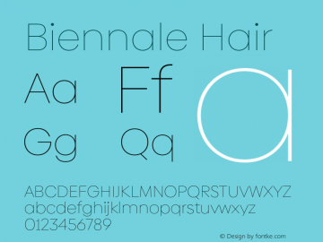 Biennale Hair Version 1.001;hotconv 1.0.109;makeotfexe 2.5.65596图片样张