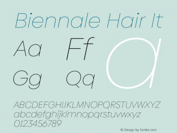 Biennale Hair It Version 1.001;hotconv 1.0.109;makeotfexe 2.5.65596图片样张