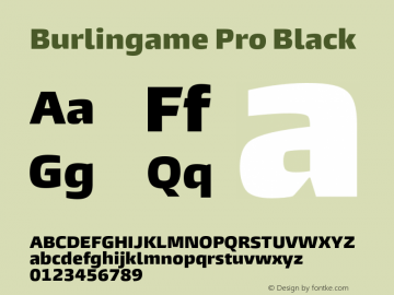 Burlingame Pro Black Version 1.000图片样张