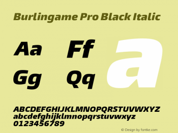 Burlingame Pro Black Italic Version 1.000图片样张