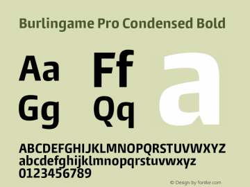 Burlingame Pro Condensed Bold Version 1.000图片样张