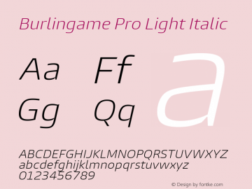 Burlingame Pro Light Italic Version 1.000图片样张