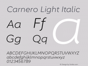 Carnero Light Italic Version 1.10, build 11, s3图片样张