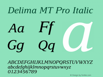DelimaMTPro-Italic Version 1.000 Build 1000图片样张