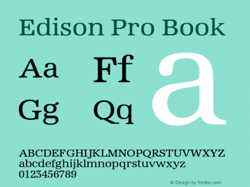 EdisonPro-Book Version 1.00图片样张