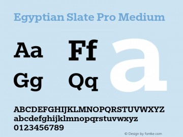 EgyptianSlatePro-Medium Version 1.000图片样张