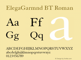 ElegaGarmnd BT Roman Version 1.01 emb4-OT图片样张