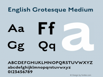 English Grotesque Medium Version 12.000;FEAKit 1.0图片样张