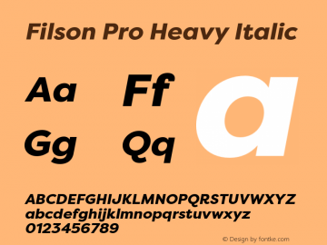Filson Pro Heavy Italic Version 3.001;hotconv 1.0.109;makeotfexe 2.5.65596图片样张