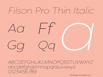 Filson Pro Thin Italic Version 3.001;hotconv 1.0.109;makeotfexe 2.5.65596图片样张