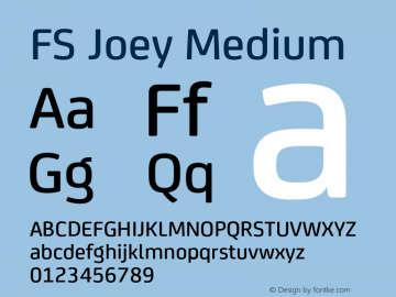 FSJoey-Medium Version 6.01图片样张