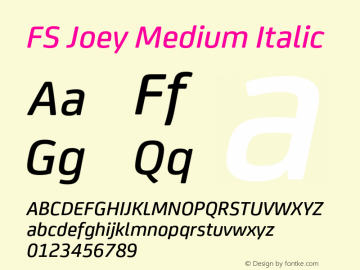 FSJoey-MediumItalic Version 6.01图片样张