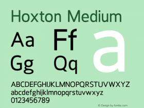 Hoxton-Medium 1.000图片样张