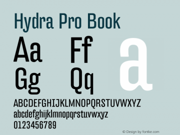 HydraPro-Book Version 7.504; 2012; Build 1021图片样张