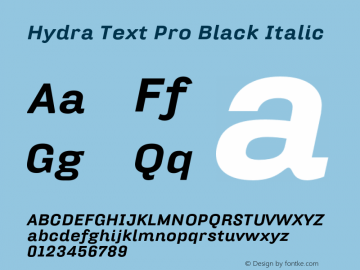 HydraTextPro-BlackItalic Version 7.504; 2012; Build 1021图片样张