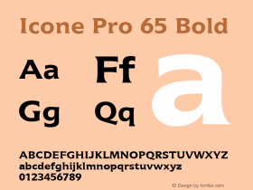 Icone Pro 65 Bold Version 2.00 Build 1000图片样张