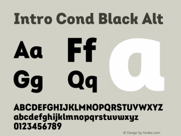 Intro Cond Black Alt Version 2.000;hotconv 1.0.109;makeotfexe 2.5.65596图片样张