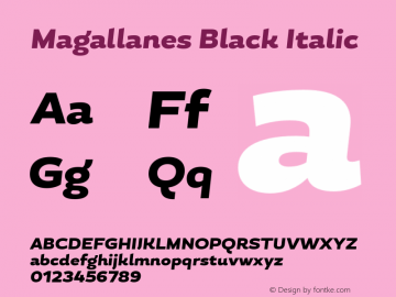 MagallanesBlack-Italic 1.000图片样张