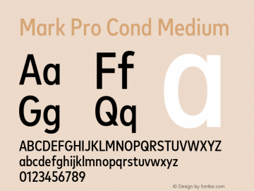 Mark Pro Cond Medium Version 7.60图片样张