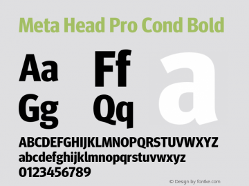 Meta Head Pro Cond Bold Version 7.600, build 1027, FoPs, FL 5.04图片样张