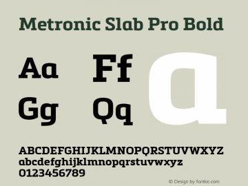 Metronic Slab Pro Bold Version 1.000图片样张
