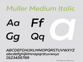 Muller-MediumItalic Version 1.000;PS 001.000;hotconv 1.0.88;makeotf.lib2.5.64775图片样张