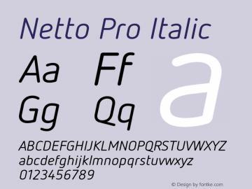 Netto Pro Italic Version 7.600, build 1027, FoPs, FL 5.04图片样张