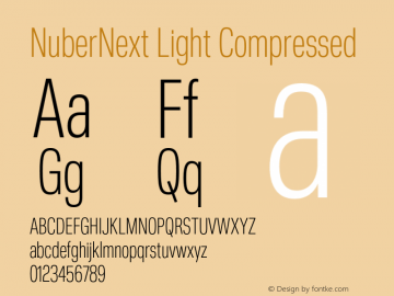 NuberNext Light Compressed Version 001.002 February 2020图片样张