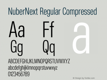 NuberNext Regular Compressed Version 001.002 February 2020图片样张