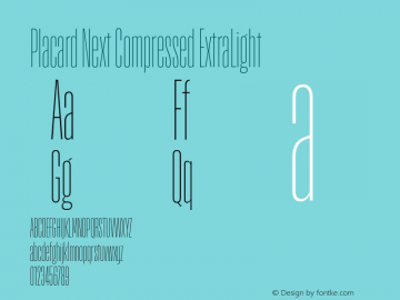Placard Next Comp ExtraLight Version 1.10, build 16, s3图片样张