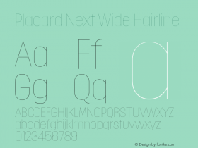 Placard Next Wide Hairline Version 1.10, build 16, s3图片样张