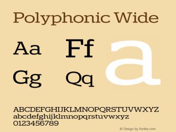 Polyphonic Wide Version 1.000;PS 001.000;hotconv 1.0.88;makeotf.lib2.5.64775图片样张