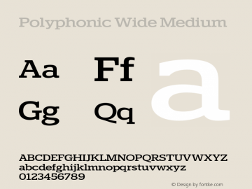 Polyphonic Wide Medium Version 1.000;PS 001.000;hotconv 1.0.88;makeotf.lib2.5.64775图片样张