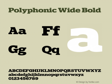 Polyphonic Wide Bold Version 1.000;PS 001.000;hotconv 1.0.88;makeotf.lib2.5.64775图片样张